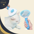 Cepillo  PetPro - [PROMOCIÓN DISPONIBLE SOLO HOY]