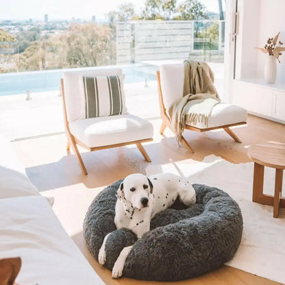 Cama DogLove Super rellena Cama Anti-Estrés para Perro - [PROMOCIÓN DISPONIBLE SOLO HOY]